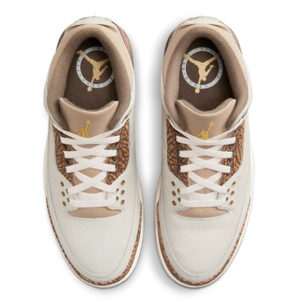 Air Jordan 3 Retro 'Palomino' | Slow Trails | CT8532-102